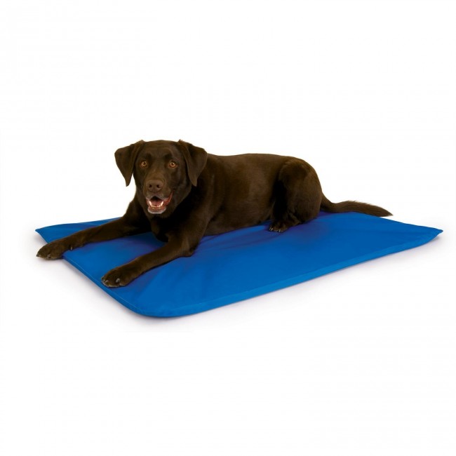 cool bed 3 for dogs