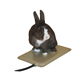 Small Animal Heated Pad