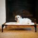 Self-warming Pet Cot, MD & LG