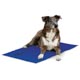 Coolin' Pet Pad, XLG
