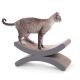 Creative Kitty Crescent Moon Kitty Scratcher