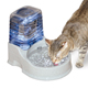 CleanFlow Water Filter Cat