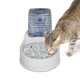 CleanFlow Water Filter Cat