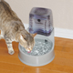 CleanFlow Water Filter Cat