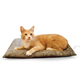 Amazin' Thermo-Kitty Pad