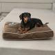 Just Relaxin' Indoor-Outdoor Pet Bed, Chocolate SM