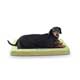 Comfy n' Dry Indoor-Outdoor Pet Bed, Green SM