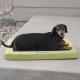 Comfy n' Dry Indoor-Outdoor Pet Bed, Green SM