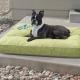 Just Relaxin' Indoor-Outdoor Pet Bed, Green MD