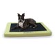 Comfy n' Dry Indoor-Outdoor Pet Bed, Green MD