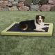 Comfy n' Dry Indoor-Outdoor Pet Bed, Green LG