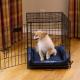 K-9 Ruff n' Tuff Crate Pad, Navy, 20x25