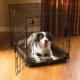 K-9 Ruff n' Tuff Crate Pad, Chocolate, 25x37