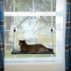 EZ Mount Window Kitty Sill